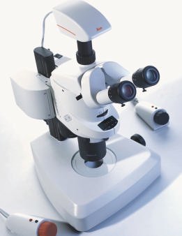 Neues Hightech-Stereomikroskop