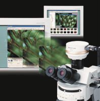 Bildauflösung der Extraklasse für die Mikroskopie