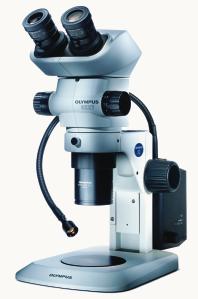 Stereomikroskop mit unendlich korrigierter UIS-Optik