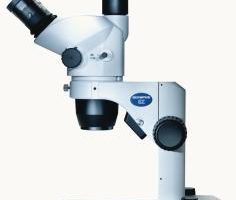 Digitale Dokumentation in der Stereo-Mikroskopie