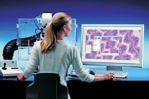 Verbesserte Bildanalyse-Software für Mikroskopie